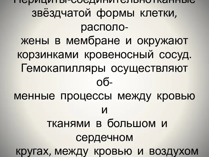 Базальная мембрана капилляров тонковолокнистая, прерывистая. Перициты-соединительнотканные звёздчатой формы клетки, располо-