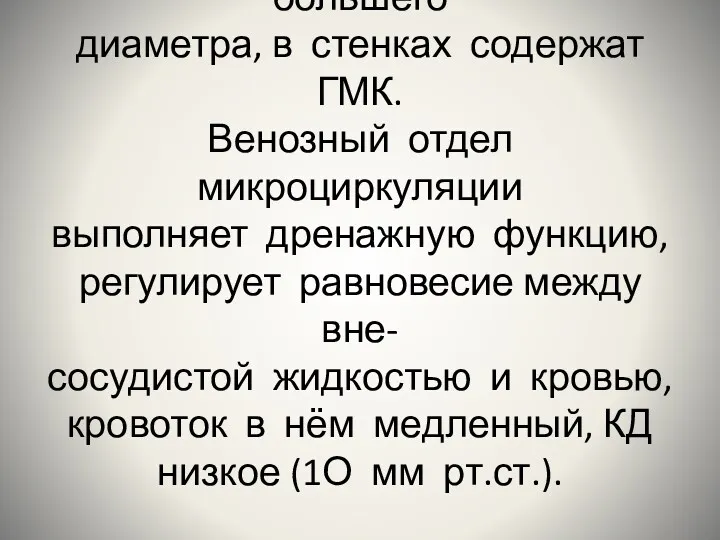 Посткапиллярные венулы большего диаметра, в стенках содержат ГМК. Венозный отдел