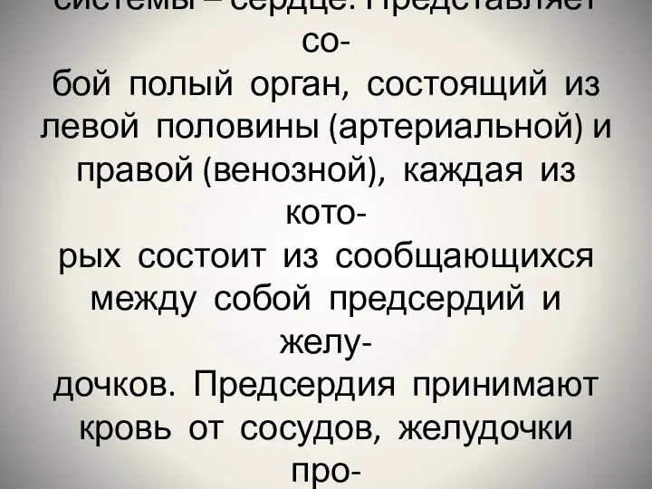 Центральный орган кровеносной системы – сердце. Представляет со- бой полый