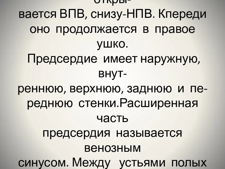 Правое предсердие кубовидной формы, сзади-сверху в него откры- вается ВПВ,