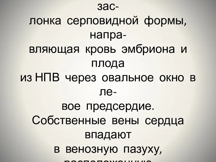 От нижнего края отверстия НПВ к краю овальной ямки тянется