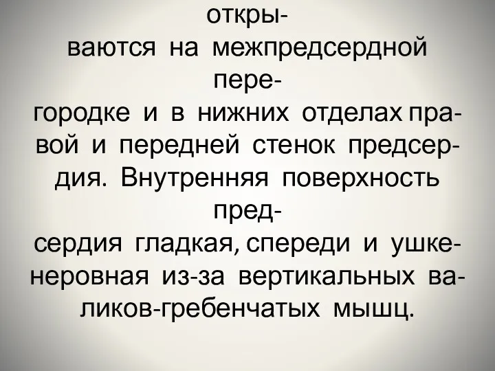 Мелкие собственные вены откры- ваются на межпредсердной пере- городке и