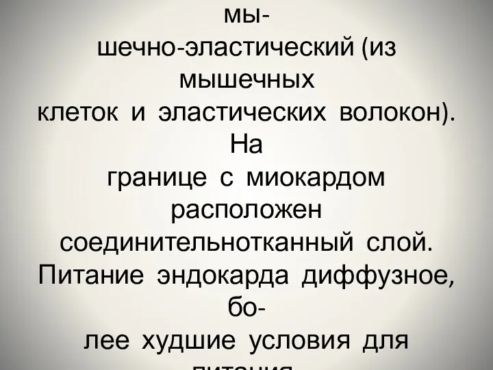 Под эндокардом расположен под- эндотелиальный слой (из СТ) и мы-