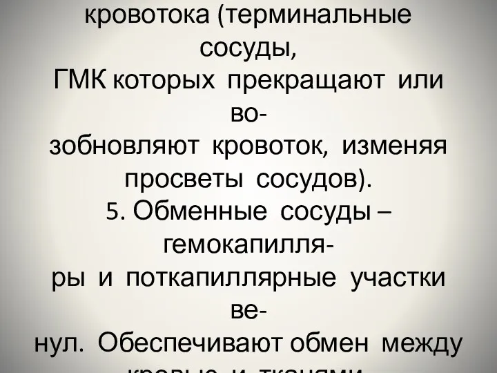 4. Распределители капиллярного кровотока (терминальные сосуды, ГМК которых прекращают или