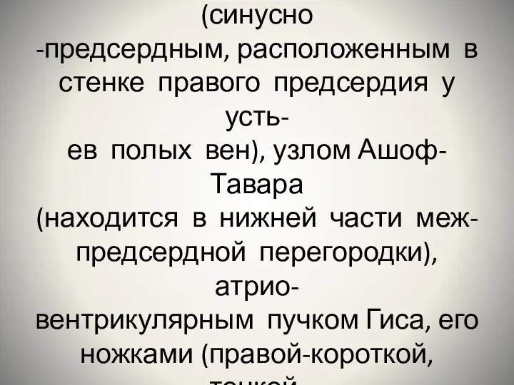 Проводящая система сердца пред- ставлена узлом Кейт-Флака (синусно -предсердным, расположенным