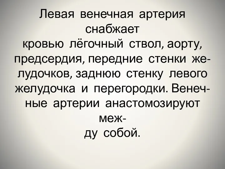 Левая венечная артерия снабжает кровью лёгочный ствол, аорту, предсердия, передние