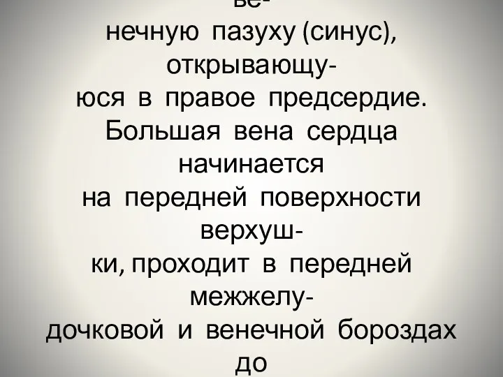 Большая часть вен сердца(кроме малых и передних) впадают в ве-