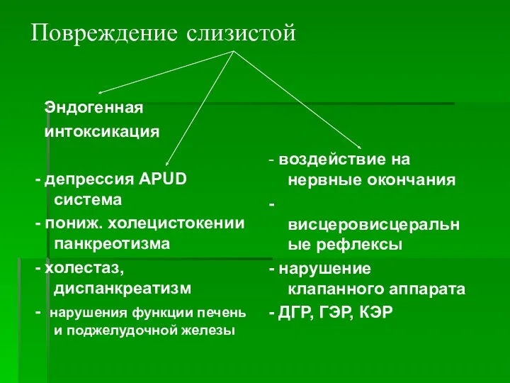 Повреждение слизистой Эндогенная интоксикация - депрессия АРUD система - пониж.