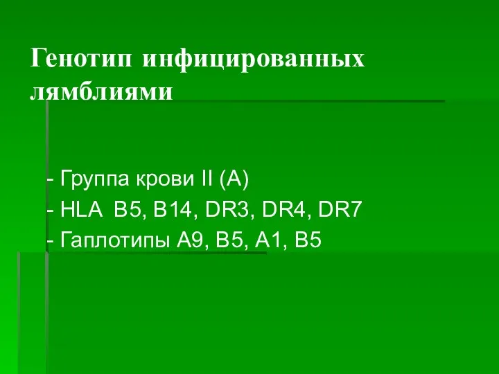 Генотип инфицированных лямблиями - Группа крови II (A) - HLA