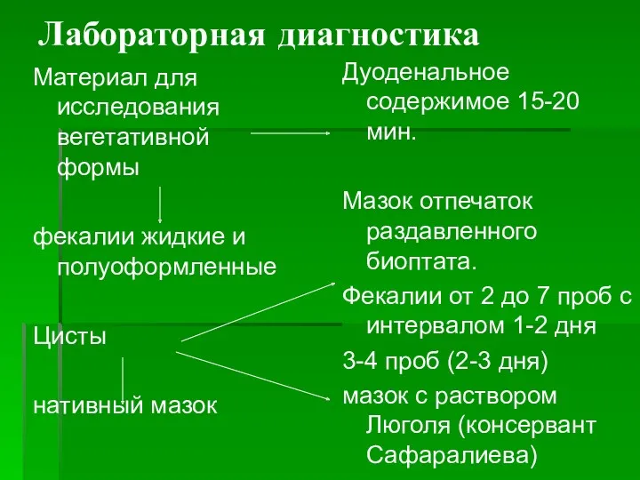 Лабораторная диагностика Материал для исследования вегетативной формы фекалии жидкие и