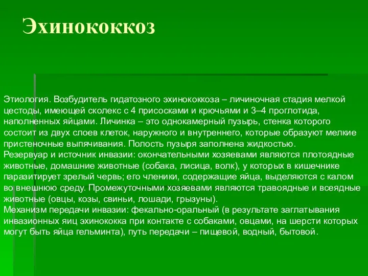 Эхинококкоз Этиология. Возбудитель гидатозного эхинококкоза – личиночная стадия мелкой цестоды,