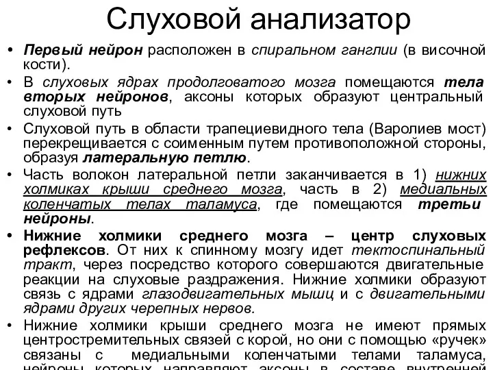 Слуховой анализатор Первый нейрон расположен в спиральном ганглии (в височной