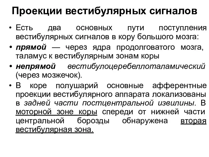 Проекции вестибулярных сигналов Есть два основных пути поступления вестибулярных сигналов