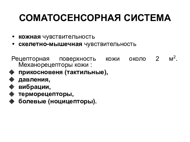 СОМАТОСЕНСОРНАЯ СИСТЕМА кожная чувствительность скелетно-мышечная чувствительность Рецепторная поверхность кожи около