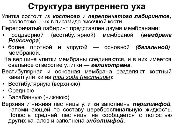 Улитка состоит из костного и перепончатого лабиринтов, расположенных в пирамиде