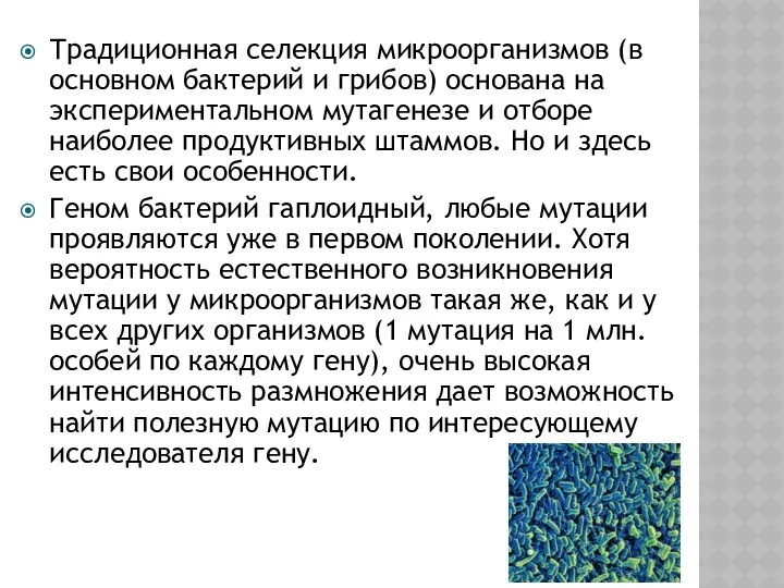 Традиционная селекция микроорганизмов (в основном бактерий и грибов) основана на