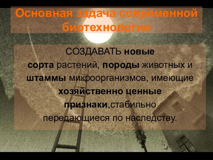 Основная задача современной биотехнологии СОЗДАВАТЬ новые сорта растений, породы животных