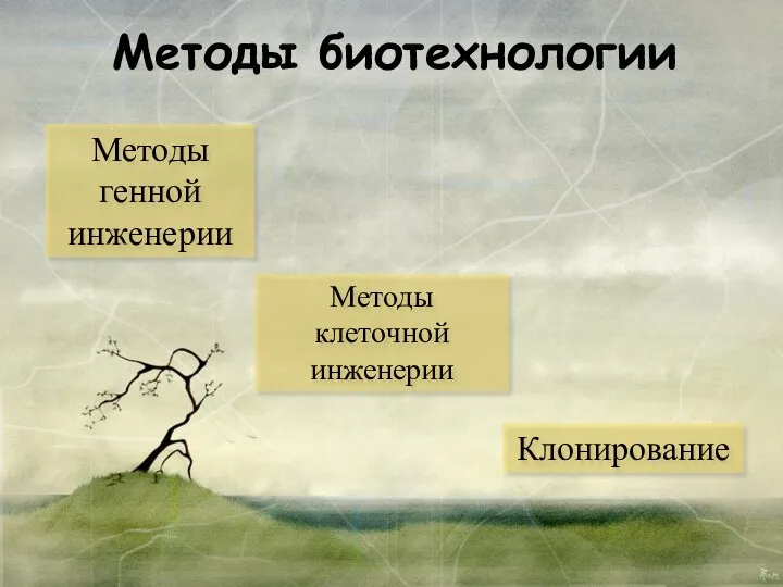 Методы биотехнологии Методы клеточной инженерии Методы генной инженерии Клонирование