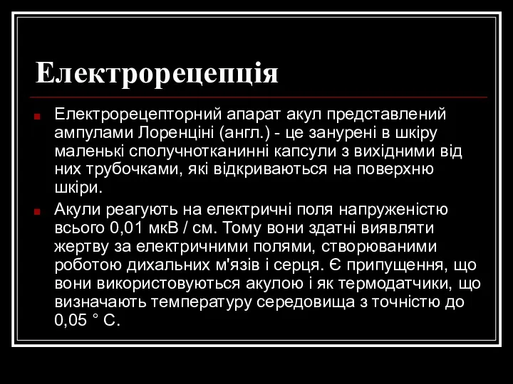 Електрорецепція Електрорецепторний апарат акул представлений ампулами Лоренціні (англ.) - це занурені в шкіру