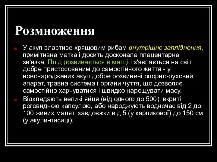 Розмноження У акул властиве хрящовим рибам внутрішнє запліднення, примітивна матка