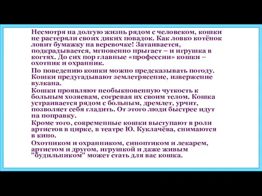 Несмотря на долгую жизнь рядом с человеком, кошки не растеряли