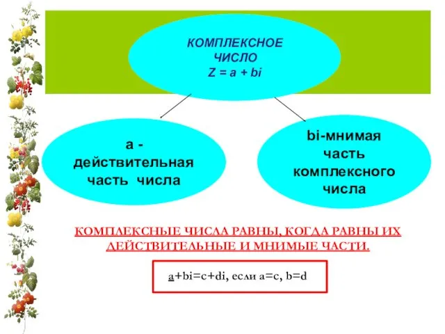 Кк КОМПЛЕКСНЫЕ ЧИСЛА РАВНЫ, КОГДА РАВНЫ ИХ ДЕЙСТВИТЕЛЬНЫЕ И МНИМЫЕ