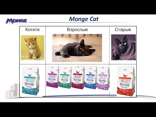 Monge Cat