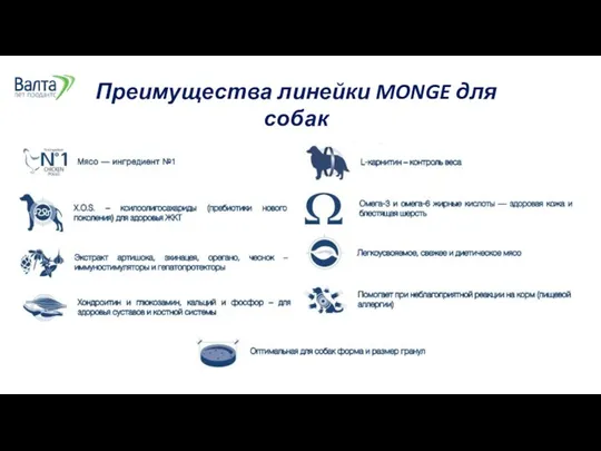 Преимущества линейки MONGE для собак