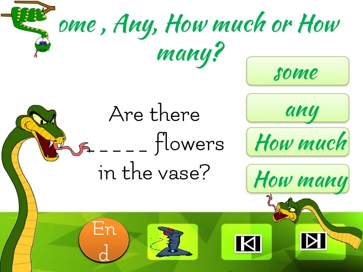 Are there _____ flowers in the vase? some any How