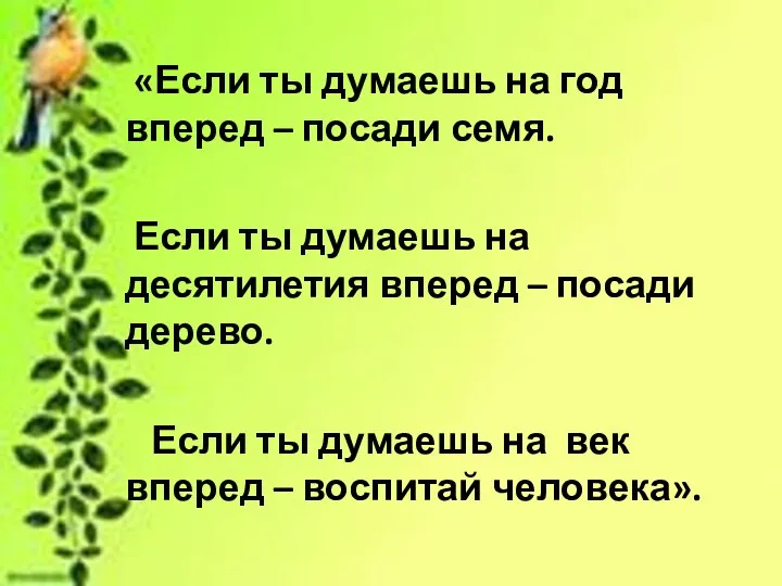 «Если ты думаешь на год вперед – посади семя. Если