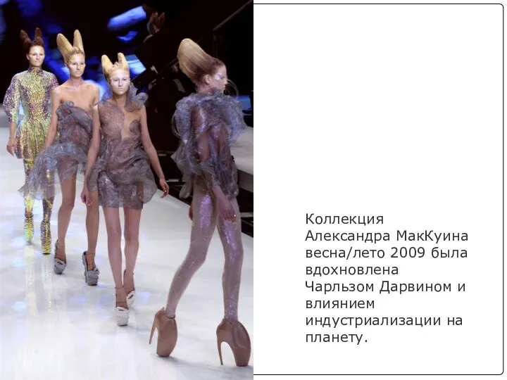 Коллекция Александра МакКуина весна/лето 2009 была вдохновлена Чарльзом Дарвином и влиянием индустриализации на планету.