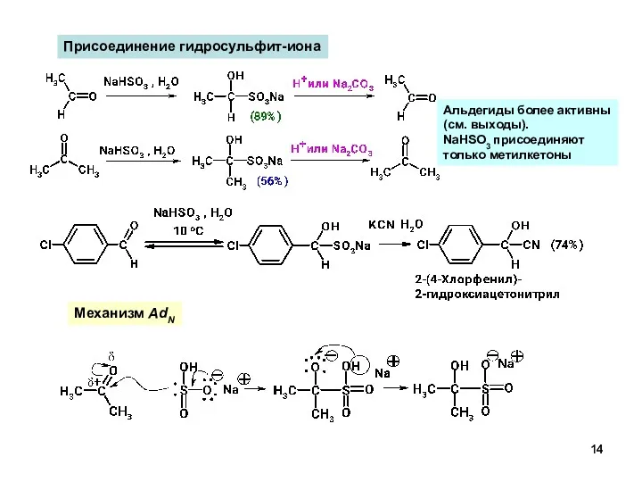 Присоединение гидросульфит-иона Механизм AdN Альдегиды более активны (см. выходы). NaHSO3 присоединяют только метилкетоны