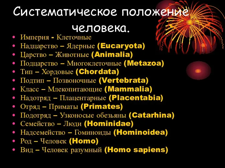 Систематическое положение человека. Империя - Клеточные Надцарство – Ядерные (Eucaryota)