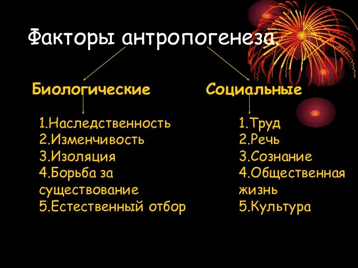 Факторы антропогенеза. Биологические Социальные 1.Наследственность 2.Изменчивость 3.Изоляция 4.Борьба за существование