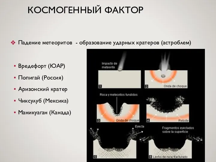 КОСМОГЕННЫЙ ФАКТОР Падение метеоритов - образование ударных кратеров (астроблем) Вредефорт