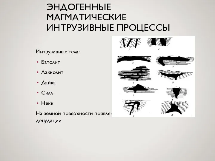 ЭНДОГЕННЫЕ МАГМАТИЧЕСКИЕ ИНТРУЗИВНЫЕ ПРОЦЕССЫ Интрузивные тела: Батолит Лакколит Дайка Силл