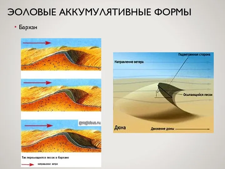 ЭОЛОВЫЕ АККУМУЛЯТИВНЫЕ ФОРМЫ Бархан