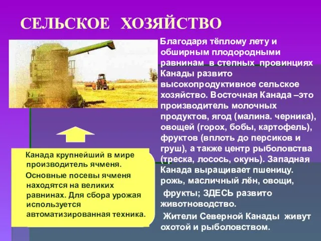 СЕЛЬСКОЕ ХОЗЯЙСТВО Канада крупнейший в мире производитель ячменя. Основные посевы