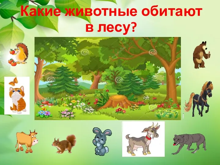 Какие животные обитают в лесу?
