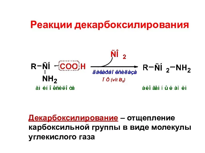 Реакции декарбоксилирования Декарбоксилирование – отщепление карбоксильной группы в виде молекулы углекислого газа