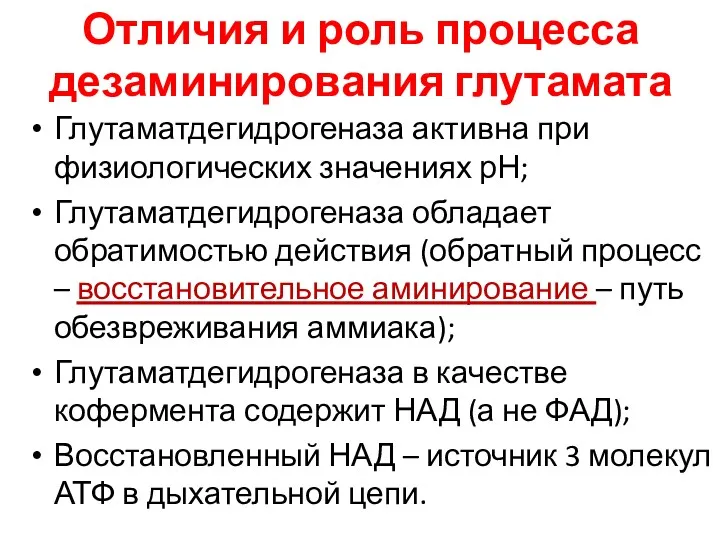 Отличия и роль процесса дезаминирования глутамата Глутаматдегидрогеназа активна при физиологических