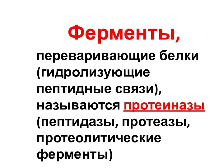 Ферменты, переваривающие белки (гидролизующие пептидные связи), называются протеиназы (пептидазы, протеазы, протеолитические ферменты)