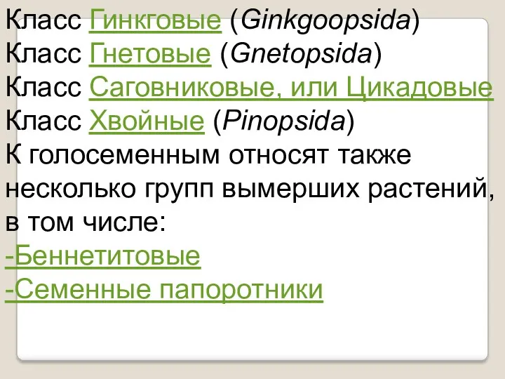 Класс Гинкговые (Ginkgoopsida) Класс Гнетовые (Gnetopsida) Класс Саговниковые, или Цикадовые