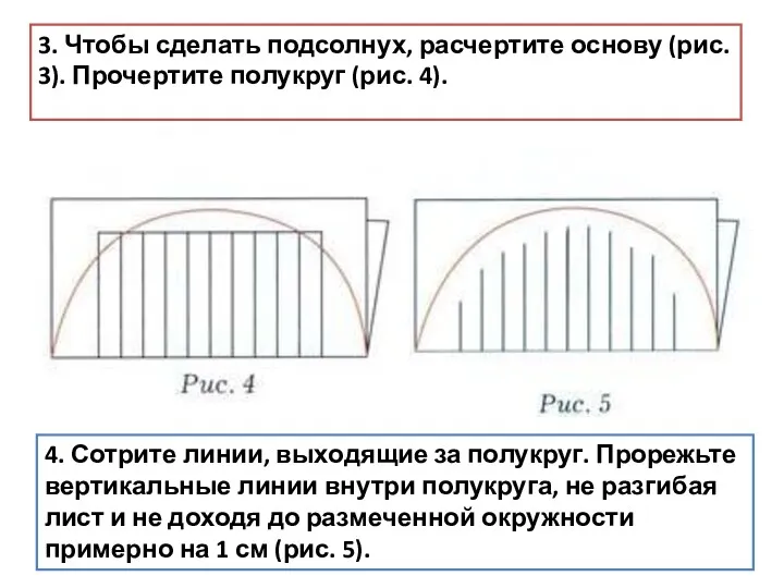 3. Чтобы сделать подсолнух, расчертите основу (рис. 3). Прочертите полукруг (рис. 4). 4.