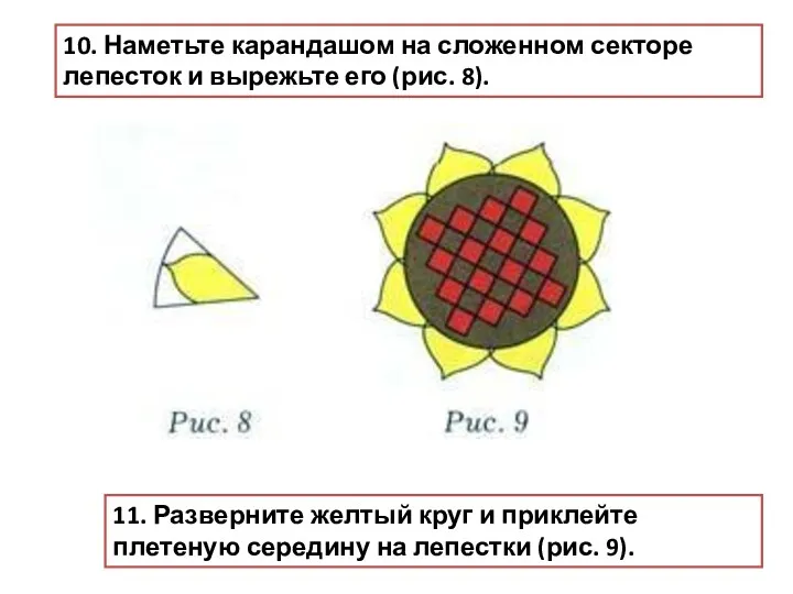 10. Наметьте карандашом на сложенном секторе лепесток и вырежьте его