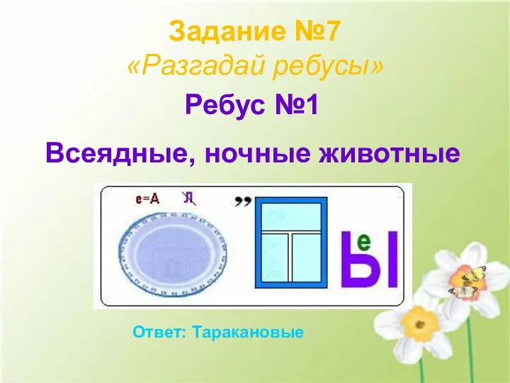 Задание №7 «Разгадай ребусы» Ребус №1 Всеядные, ночные животные Ответ: Таракановые