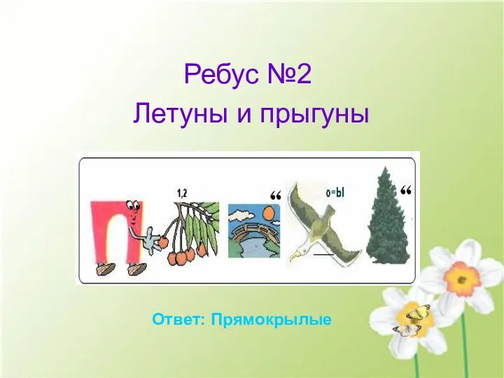 Ребус №2 Летуны и прыгуны Ответ: Прямокрылые