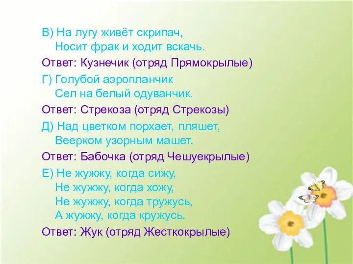 В) На лугу живёт скрипач, Носит фрак и ходит вскачь. Ответ: Кузнечик (отряд