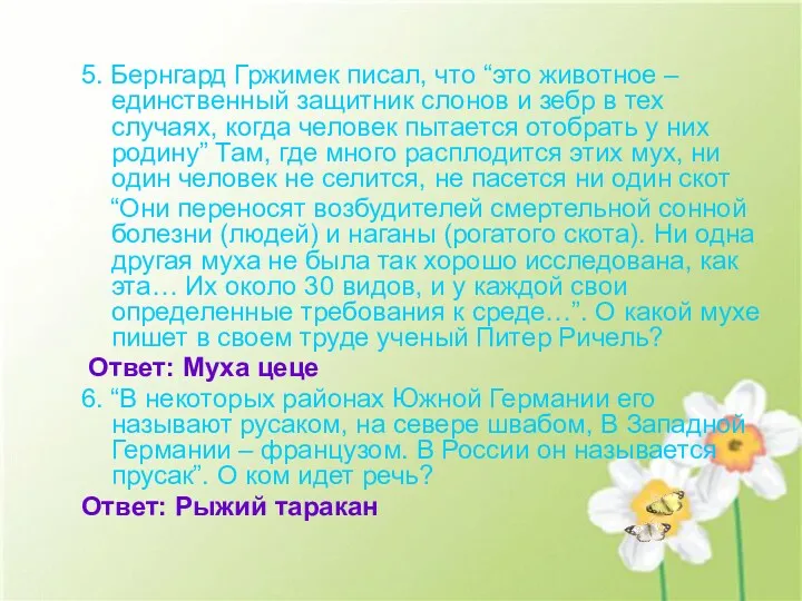 5. Бернгард Гржимек писал, что “это животное – единственный защитник слонов и зебр