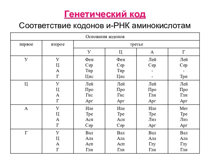 Генетический код Соответствие кодонов и-РНК аминокислотам